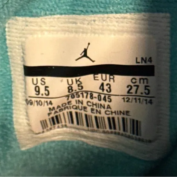 Air Jordan 10 retro ‘lady liberty’
