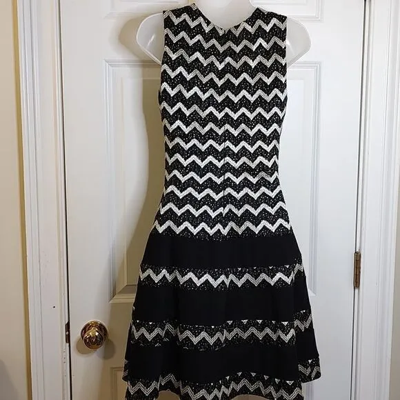 Betsy &amp; Adam Metallic Striped Fit and Flare Party Dress Size 6