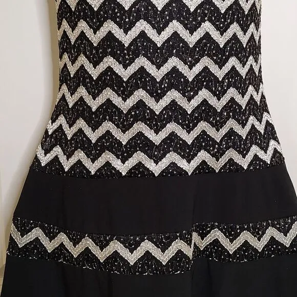 Betsy &amp; Adam Metallic Striped Fit and Flare Party Dress Size 6
