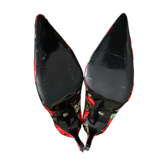 CHARLES DAVID Denise Floral Embroidered Pointed Stiletto Heels Size 9