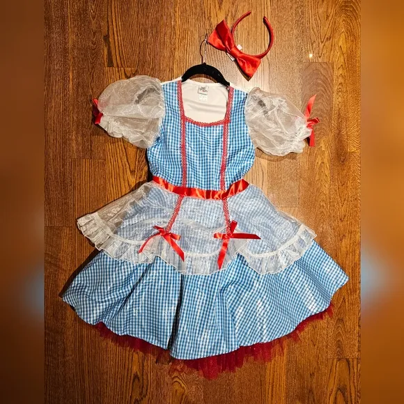 Chasing Fireflies Princess Paradise Dorothy Wizard of Oz costume - like new!