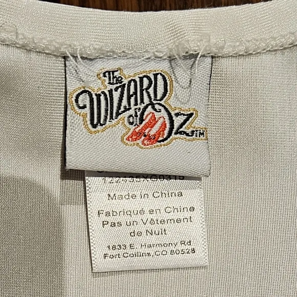 Chasing Fireflies Princess Paradise Dorothy Wizard of Oz costume - like new!