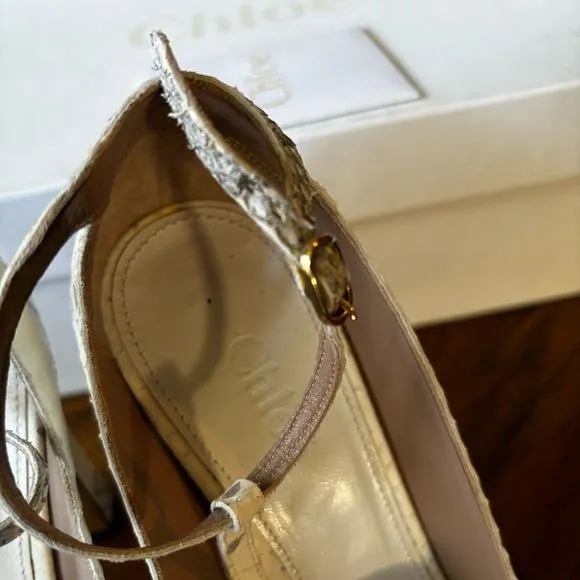 Chloé Ivory Python T-Strap Chunky Heel Shoes, Size 6 – EUC in Original Box