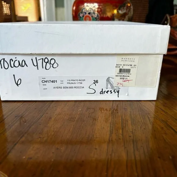 Chloé Ivory Python T-Strap Chunky Heel Shoes, Size 6 – EUC in Original Box