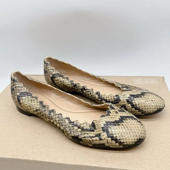 Chloe Lauren Scalloped Ballet Shoes Flats Dark Greige Snakeskin Leather US 35.5