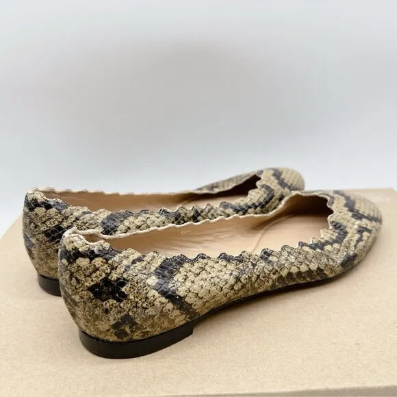 Chloe Lauren Scalloped Ballet Shoes Flats Dark Greige Snakeskin Leather US 35.5