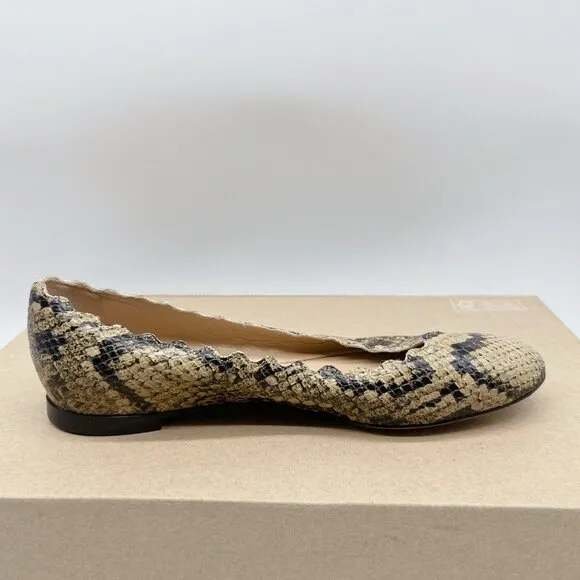 Chloe Lauren Scalloped Ballet Shoes Flats Dark Greige Snakeskin Leather US 35.5