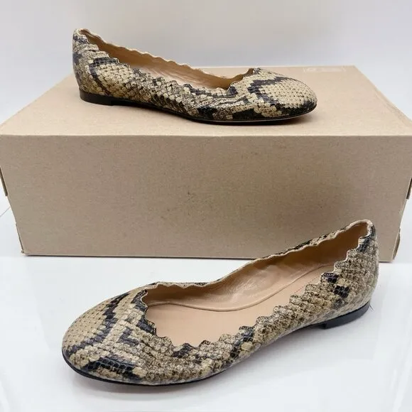 Chloe Lauren Scalloped Ballet Shoes Flats Dark Greige Snakeskin Leather US 35.5