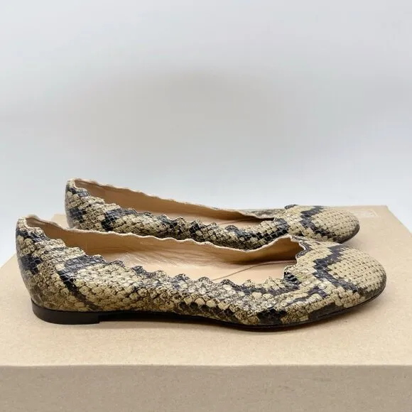Chloe Lauren Scalloped Ballet Shoes Flats Dark Greige Snakeskin Leather US 35.5