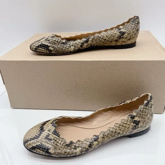 Chloe Lauren Scalloped Ballet Shoes Flats Dark Greige Snakeskin Leather US 35.5