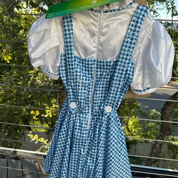 Costume   shoes - Dorthy wizard of OZ   red shoes!