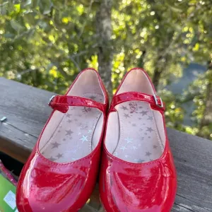 Costume   shoes - Dorthy wizard of OZ   red shoes!