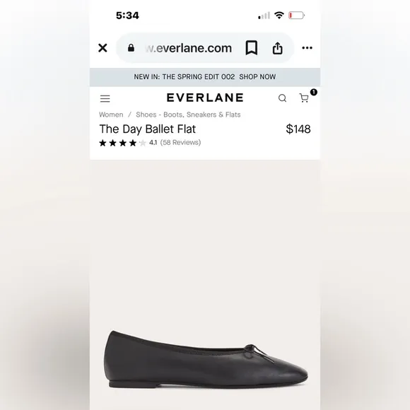 Everlane The Day Ballet Flats Black Leather Women's Ballet Flats