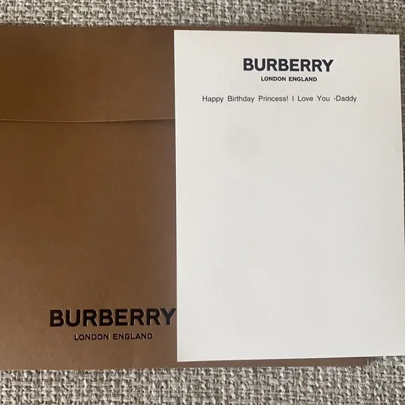 Girls Burberry Dress size 4 and Burberry high top sneakers size 27 (10c)