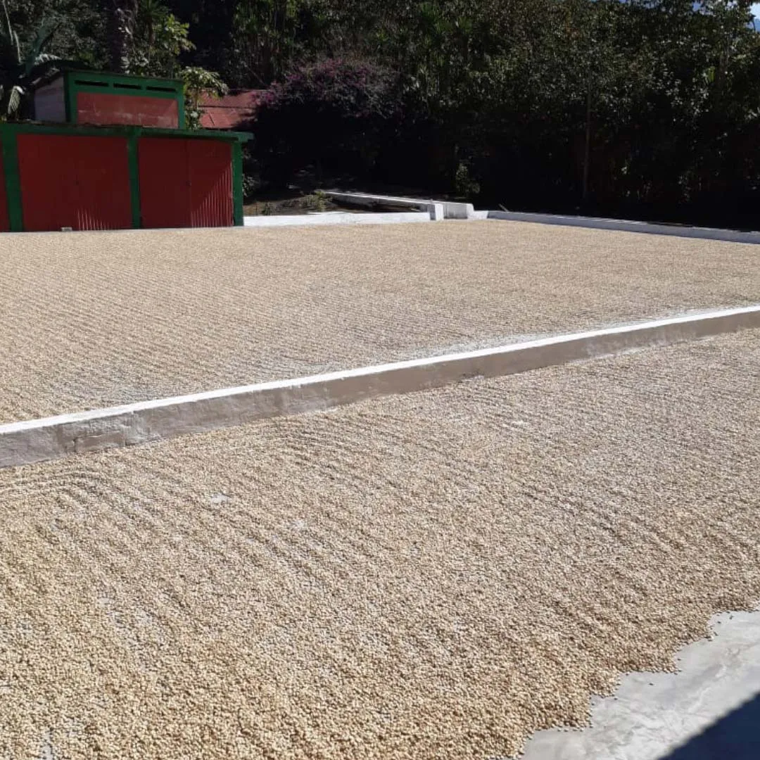 Guatemala: Luvia Samayoa Coffee - Single Origin - 100% Arabica