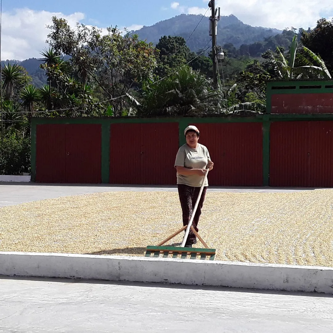 Guatemala: Luvia Samayoa Coffee - Single Origin - 100% Arabica