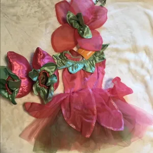 Gymboree NWT Pink Flower Fairy Costume Dress Set