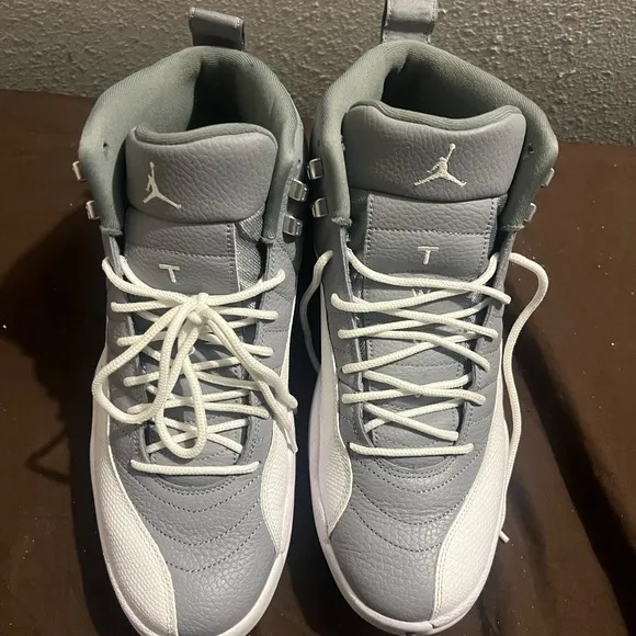 Jordan Athletic Shoes - White and Gray Nike Air Jordan Retro 12 Stealth SZ 13