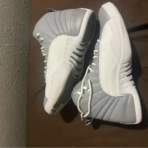 Jordan Athletic Shoes - White and Gray Nike Air Jordan Retro 12 Stealth SZ 13