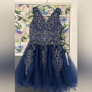 Modeling pageant dress size 6