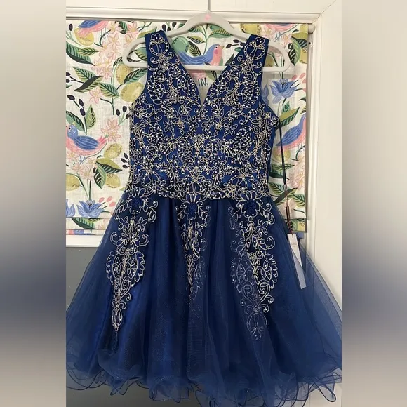 Modeling pageant dress size 6