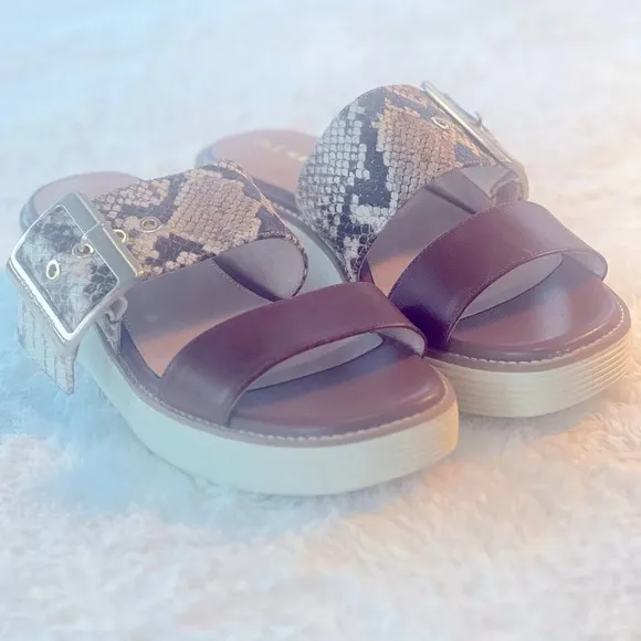 NWT Cole Haan Sz 7.5 Sand Dollar Snake Print Leather Grand Platform Sandals