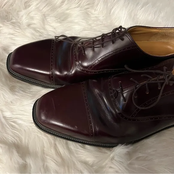 Rockport Size 16 M Dark Brown Lace Up Cap Toe Dress Shoes