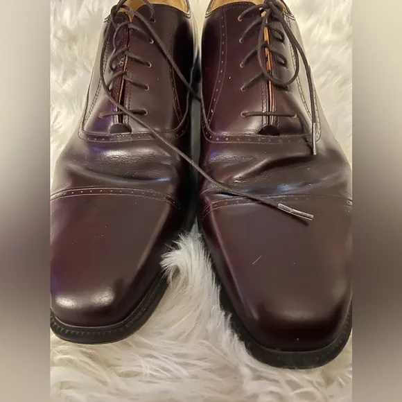 Rockport Size 16 M Dark Brown Lace Up Cap Toe Dress Shoes