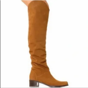 Stuart Weitzman Dunkirk Boots