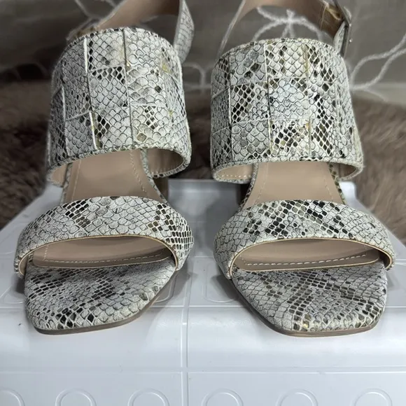 (T) Charles by Charles David City‎ Sand Reptile Print Block Heel Pumps, Size 8 M