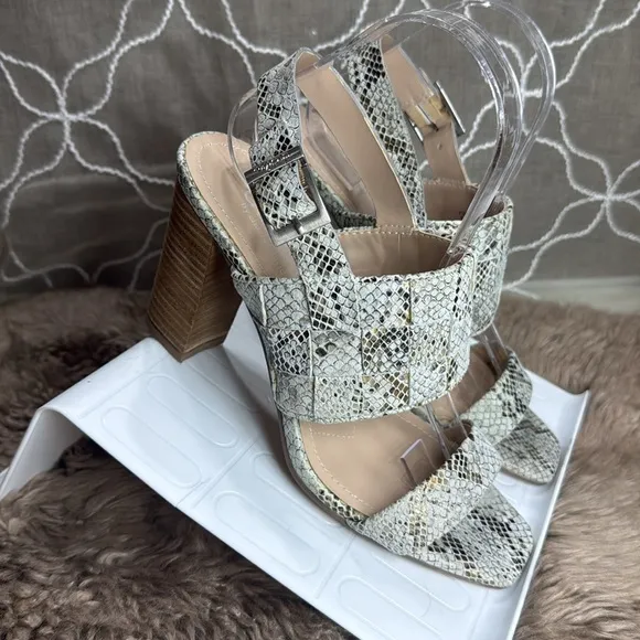 (T) Charles by Charles David City‎ Sand Reptile Print Block Heel Pumps, Size 8 M