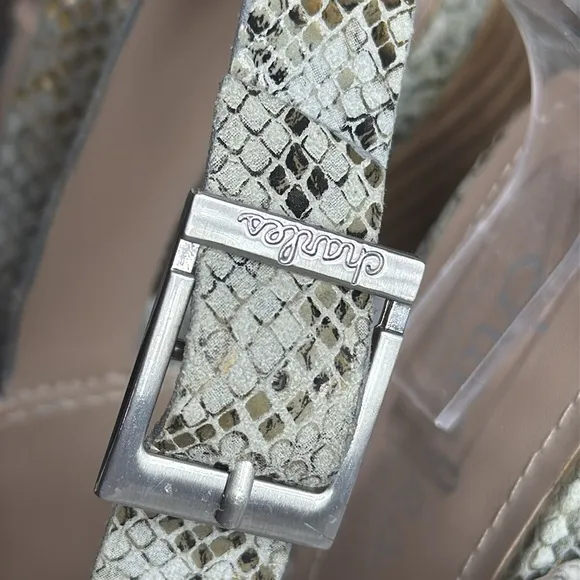 (T) Charles by Charles David City‎ Sand Reptile Print Block Heel Pumps, Size 8 M