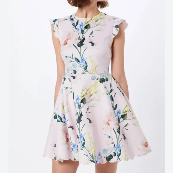 Ted Baker Karsali Elegance Scallop Skater Nude Pink Floral Cap Sleeve Dress 2 XS